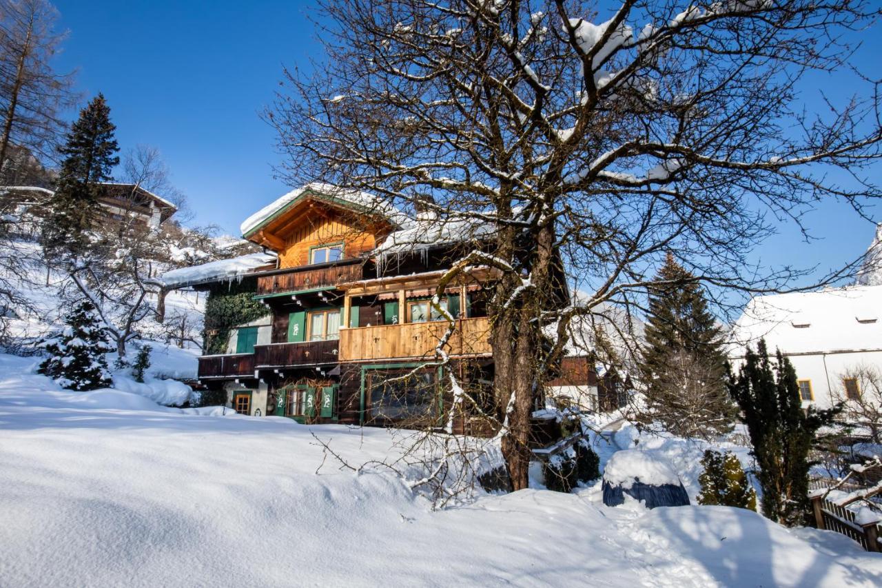 Haus Weidmannsheil - Wohnen Im Romantischen Forsthaus Werfen Dış mekan fotoğraf