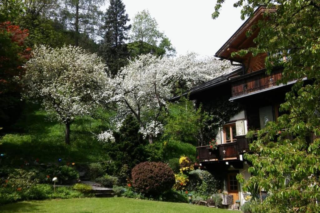 Haus Weidmannsheil - Wohnen Im Romantischen Forsthaus Werfen Dış mekan fotoğraf