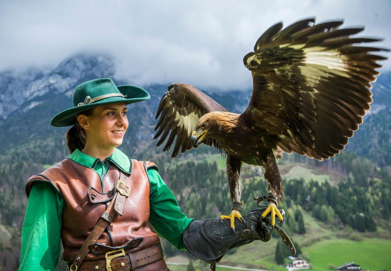Haus Weidmannsheil - Wohnen Im Romantischen Forsthaus Werfen Dış mekan fotoğraf